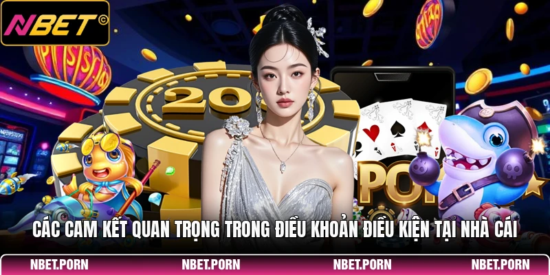 Các cam kết quan trọng trong điều khoản điều kiện tại nhà cái